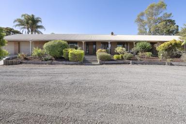 House For Sale - VIC - Lake Boga - 3584 - Expansive Lake frontage!  (Image 2)