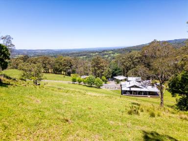 Lifestyle For Sale - NSW - Broughton Vale - 2535 - "The Pines On Tullouch"  (Image 2)