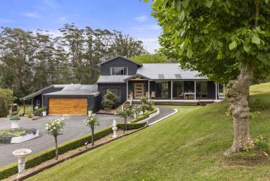 Lifestyle For Sale - NSW - Broughton Vale - 2535 - "The Pines On Tullouch"  (Image 2)