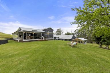 Lifestyle For Sale - NSW - Broughton Vale - 2535 - "The Pines On Tullouch"  (Image 2)