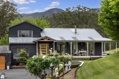 Lifestyle For Sale - NSW - Broughton Vale - 2535 - "The Pines On Tullouch"  (Image 2)