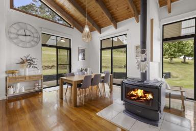 Lifestyle For Sale - NSW - Broughton Vale - 2535 - "The Pines On Tullouch"  (Image 2)