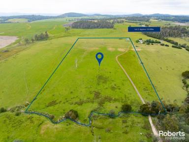 Residential Block For Sale - TAS - Beaconsfield - 7270 - 90 Acres on 3 Titles  (Image 2)