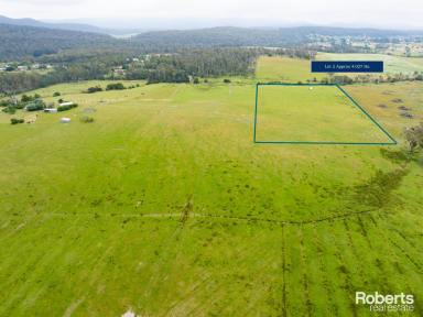 Residential Block For Sale - TAS - Beaconsfield - 7270 - 90 Acres on 3 Titles  (Image 2)