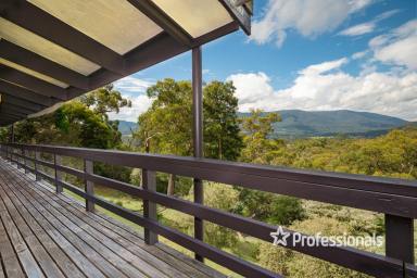 House For Sale - VIC - Yarra Junction - 3797 - OFF-GRID LIVING IMMERSED IN NATURE  (Image 2)