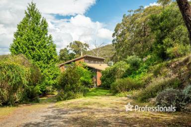 House For Sale - VIC - Yarra Junction - 3797 - OFF-GRID LIVING IMMERSED IN NATURE  (Image 2)