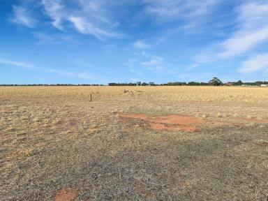 Residential Block For Sale - NSW - Leeton - 2705 - AMAZING BLOCK  (Image 2)