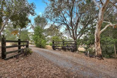 Acreage/Semi-rural For Sale - SA - Mount Pleasant - 5235 - Stunning country property on 16.16 Ha. Large home, excellent sheds, picturesque country views. Peace, nature and privacy.  (Image 2)