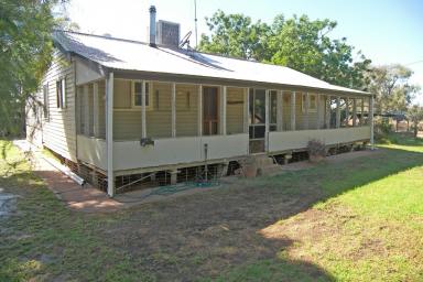 House For Sale - NSW - Bourke - 2840 - Location Location Location  (Image 2)