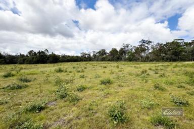 Residential Block For Sale - QLD - Bauple - 4650 - PERFECT PROPERTY TO ENJOY COUNTRY LIFE  (Image 2)