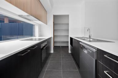 House For Sale - NSW - Raymond Terrace - 2324 - BRAND NEW HOME IN ROSLYN PARK ESTATE!  (Image 2)
