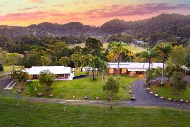 House Leased - QLD - Eerwah Vale - 4562 - Under Application - Picturesque rural property  (Image 2)