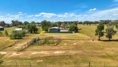 Lifestyle For Sale - NSW - Tamworth - 2340 - AFFORDABLE ACREAGE ON THE OUTSKIRTS OF TAMWORTH  (Image 2)