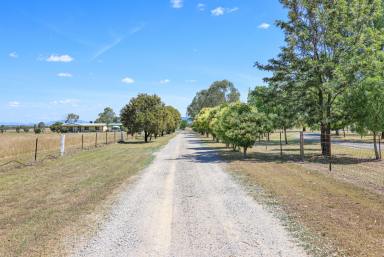 Lifestyle For Sale - NSW - Tamworth - 2340 - AFFORDABLE ACREAGE ON THE OUTSKIRTS OF TAMWORTH  (Image 2)