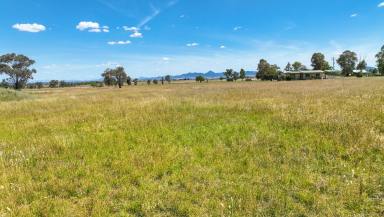 Lifestyle For Sale - NSW - Tamworth - 2340 - AFFORDABLE ACREAGE ON THE OUTSKIRTS OF TAMWORTH  (Image 2)