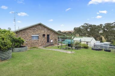 Lifestyle For Sale - NSW - Bigga - 2583 - Get Away From It All!  (Image 2)