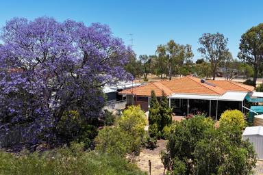 House For Sale - WA - Quairading - 6383 - Spacious Family Home in a Quiet Location  (Image 2)