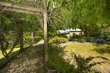 Livestock For Sale - NSW - Wootton - 2423 - Hinterland Lifestyle on Prime Grazing Acres  (Image 2)