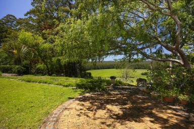 Livestock For Sale - NSW - Wootton - 2423 - Hinterland Lifestyle on Prime Grazing Acres  (Image 2)