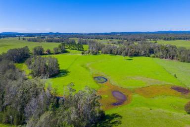 Residential Block Auction - NSW - Collombatti - 2440 - Huge Potential-Prime Acreage with Cosy Weekender-30-minutes to Coast  (Image 2)