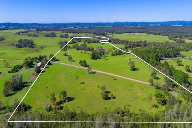 Residential Block For Sale - NSW - Collombatti - 2440 - Huge Potential-Prime Acreage with Cosy Weekender-30-minutes to Coast  (Image 2)