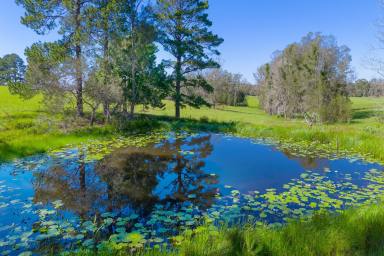 Residential Block Auction - NSW - Collombatti - 2440 - Huge Potential-Prime Acreage with Cosy Weekender-30-minutes to Coast  (Image 2)