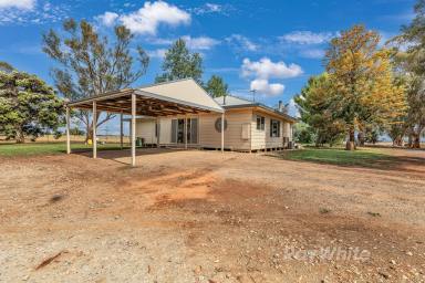 Lifestyle For Sale - VIC - Lockington - 3563 - Modern Comfort Meets Rural Serenity on 12.5 Acres  (Image 2)