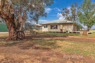Lifestyle For Sale - VIC - Lockington - 3563 - Modern Comfort Meets Rural Serenity on 12.5 Acres  (Image 2)