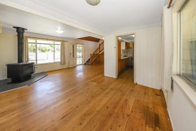 House For Sale - NSW - Adelong - 2729 - Charming Family Home with Modern Touches in Adelong  (Image 2)