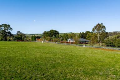 Residential Block Auction - NSW - Laggan - 2583 - Dream Acreage with Spectacular Views  (Image 2)