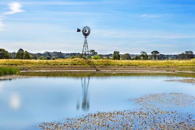 Lifestyle For Sale - VIC - Snake Valley - 3351 - 11.78HA (29.11 Acres) Highly Versatile & Substantially Improved  (Image 2)