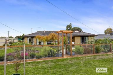 House For Sale - VIC - Ararat - 3377 - Versatile Low Maintenance Gem – Ideal for Families, First-Home Buyers or Downsizers!  (Image 2)