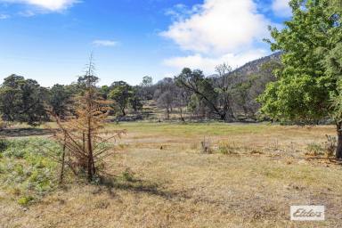 Residential Block For Sale - VIC - Pomonal - 3381 - Building Allotment With Majestic Views  (Image 2)