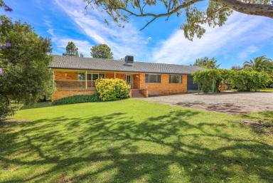 Lifestyle For Sale - NSW - Tamworth - 2340 - TERRIFIC LIFESTYLE & EQUINE PROPERTY  (Image 2)