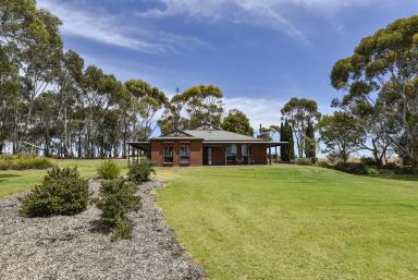 House For Sale - SA - Naracoorte - 5271 - Your Own Parcel of Secluded Paradise - 4.74 Acres  (Image 2)