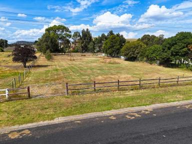 Residential Block For Sale - VIC - Coleraine - 3315 - Start your Coleraine story at 36 Casterton Road.  (Image 2)