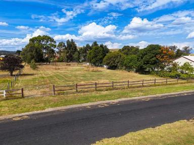 Residential Block For Sale - VIC - Coleraine - 3315 - Start your Coleraine story at 36 Casterton Road.  (Image 2)