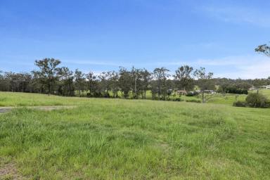 Residential Block For Sale - NSW - Dondingalong - 2440 - Exclusive Land Offering  (Image 2)