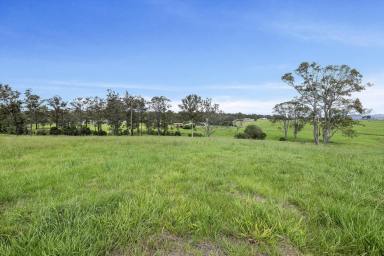 Residential Block Sold - NSW - Dondingalong - 2440 - Exclusive Land Offering  (Image 2)