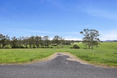 Residential Block For Sale - NSW - Dondingalong - 2440 - Exclusive Land Offering  (Image 2)