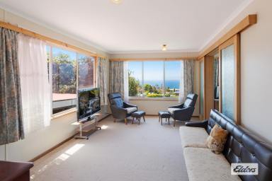 House For Sale - NSW - Tathra - 2550 - Taking In The Views  (Image 2)