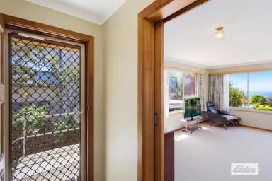 House For Sale - NSW - Tathra - 2550 - Taking In The Views  (Image 2)