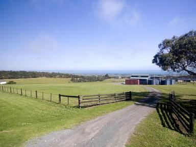 Residential Block For Sale - VIC - Narrawong - 3285 - Where the Ocean meets the Sky- Coastal Allotment in Narrawong  (Image 2)