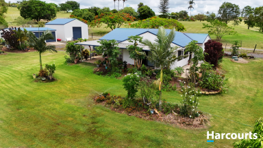 House For Sale - QLD - Childers - 4660 - GARDENERS OASIS  - 3 WATER SOURCES - LOW SET HOME  (Image 2)