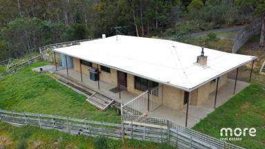 Acreage/Semi-rural For Sale - TAS - Collinsvale - 7012 - Private Acreage Property with Stunning Views  (Image 2)