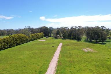 Residential Block For Sale - TAS - Smithton - 7330 - Attention Prime Building Blocks Opportunity in Smithton!  (Image 2)