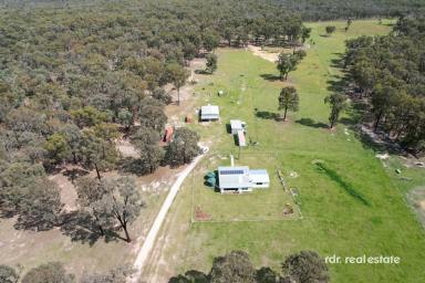 Lifestyle For Sale - NSW - Inverell - 2360 - IRON RIDGE  (Image 2)