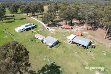 Lifestyle For Sale - NSW - Inverell - 2360 - IRON RIDGE  (Image 2)