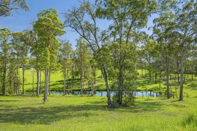 Residential Block For Sale - NSW - Frederickton - 2440 - 2.76 Acres Amidst Nature-Building Entitlement-Tightly Held Location  (Image 2)