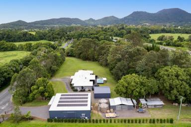 House For Sale - QLD - Eerwah Vale - 4562 - Matchless Business or Lifestyle Opportunity in Stunning Surrounds  (Image 2)